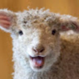 Meet your Posher, Gary